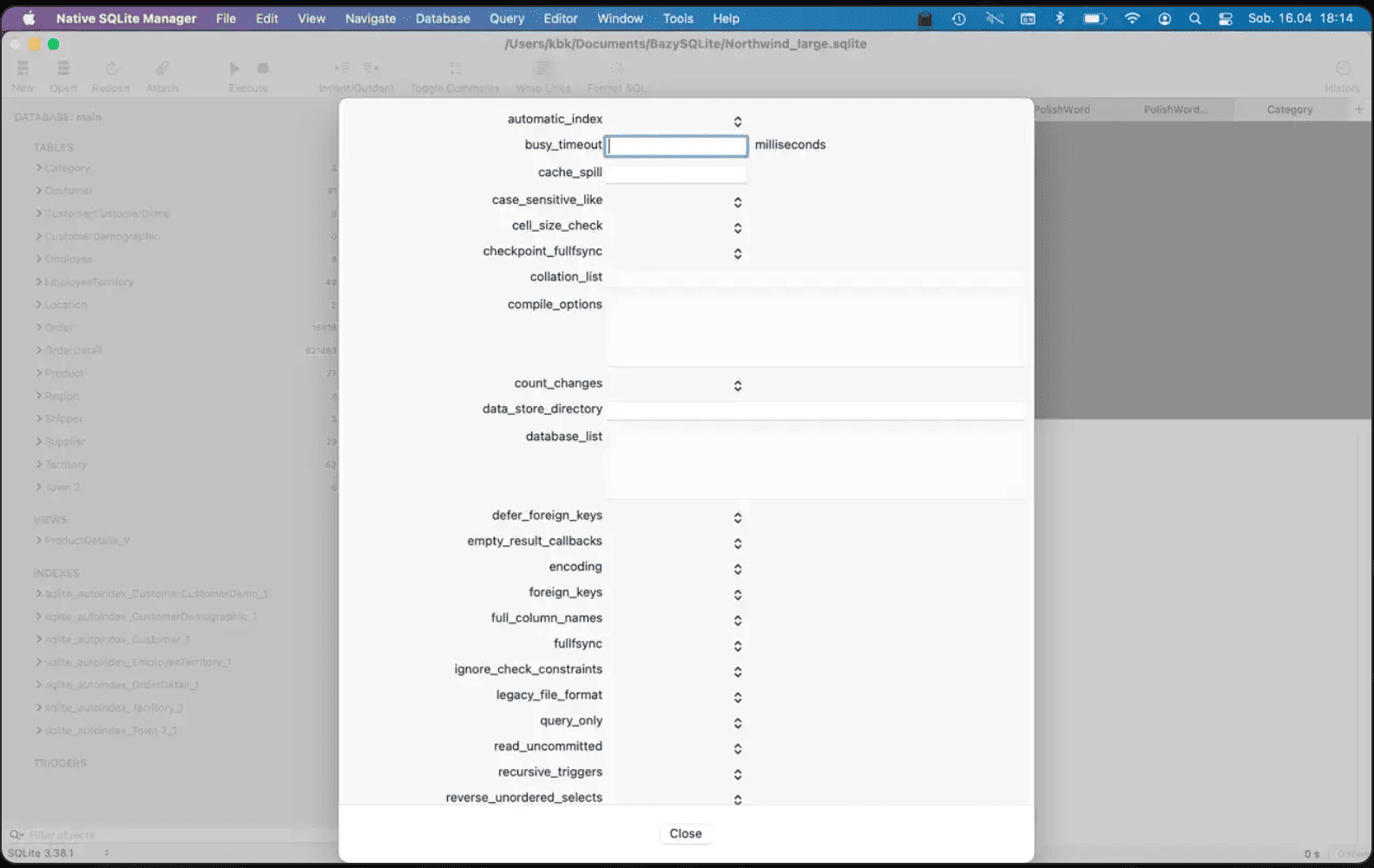 Native SQLite Manager v1.31 macOS