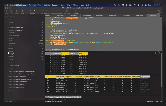 Native SQLite Manager v1.31 macOS 1