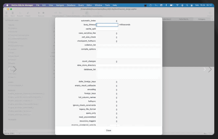 Native SQLite Manager v1.31 macOS 4