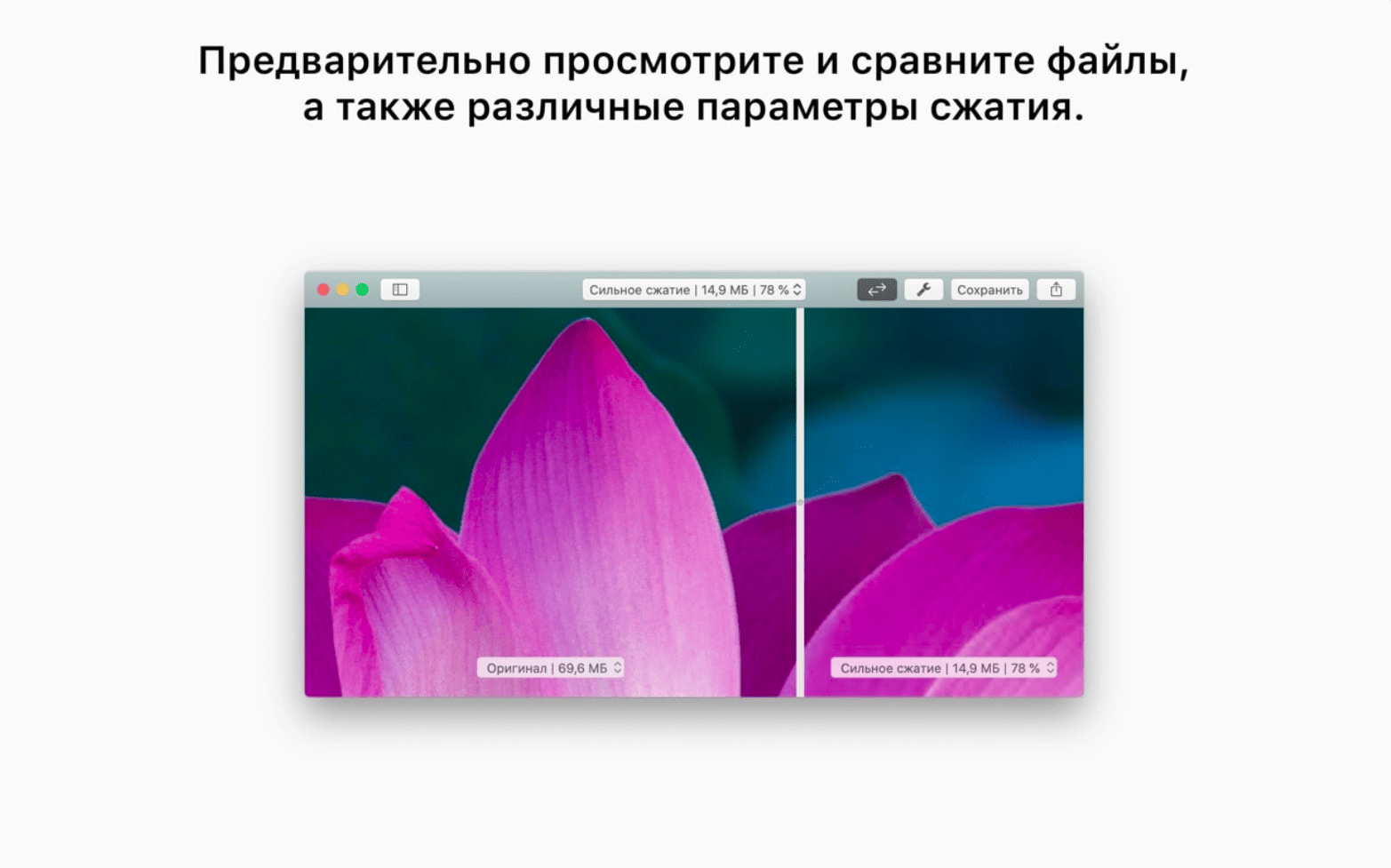 PDF Squeezer v4.6.2 macOS