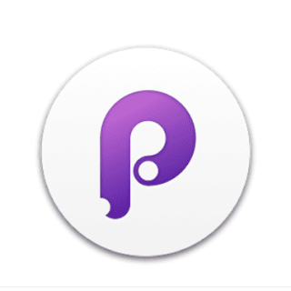 Principle v6.40 macOS logo