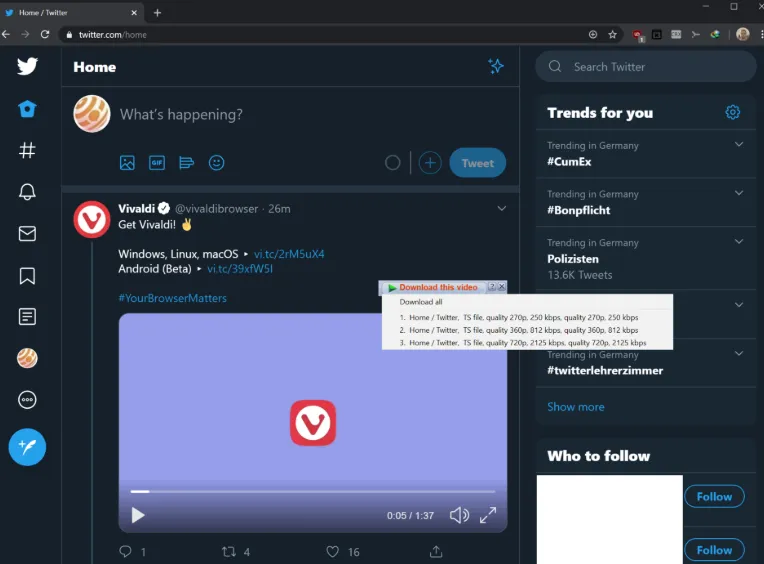 Internet Video Downloader
