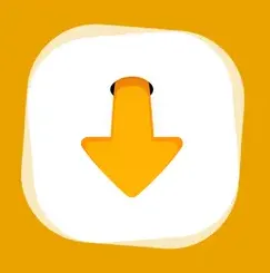 Internet Video Downloader