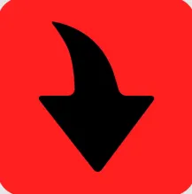 Tomabo MP4 Downloader Pro