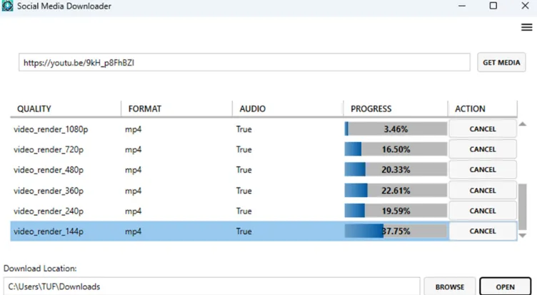 Social Media Downloader