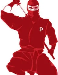 Ninja Pinner