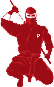 Ninja Pinner