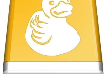 Mountain Duck