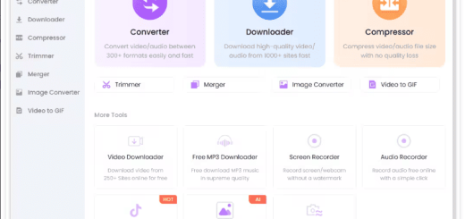 AmoyShare BeeConverter Pro v3.3.0