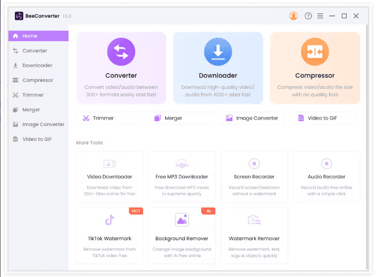 AmoyShare BeeConverter Pro v3.3.0