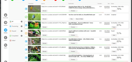 Any Video Downloader Pro v9.7.1