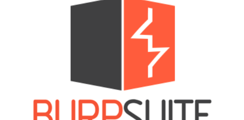 Burp Suite Professional 2025.10.3