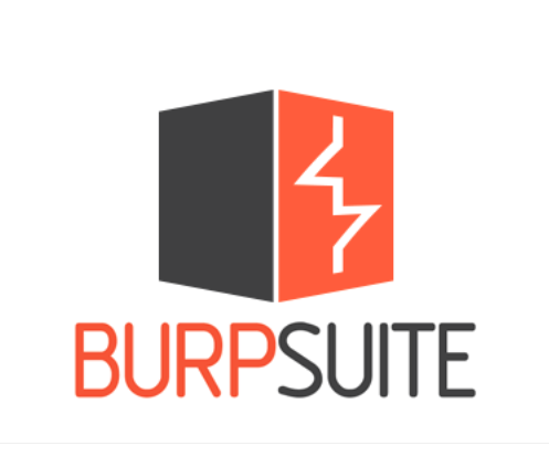 Burp Suite Professional 2025.10.3
