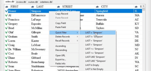 DBF Viewer 2000 v8.89.1 Multilingual
