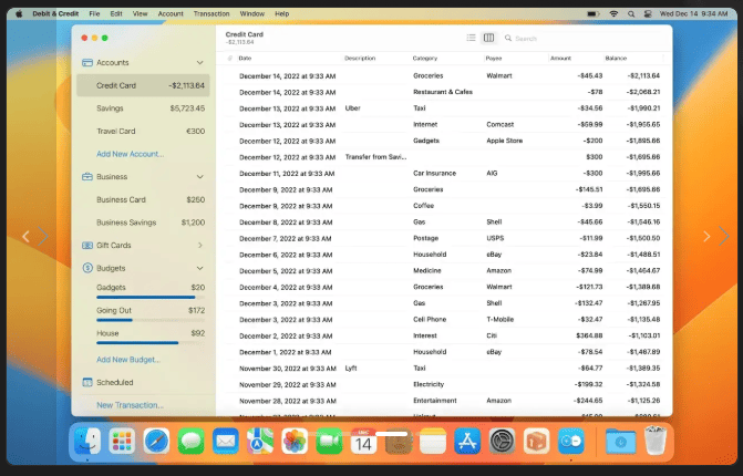 Debit & Credit Premium v7.5.0 macOS 3