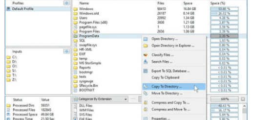 Disk Savvy v17.5.16