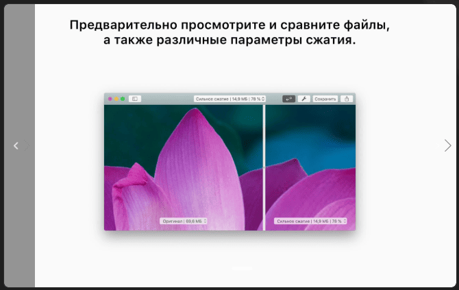 PDF Squeezer v4.6.1 macOS 3