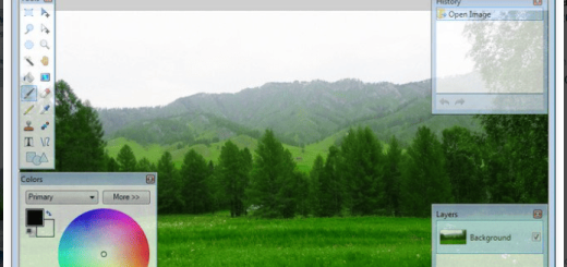 Paint.NET v5.1.11 (x64) Multilingual