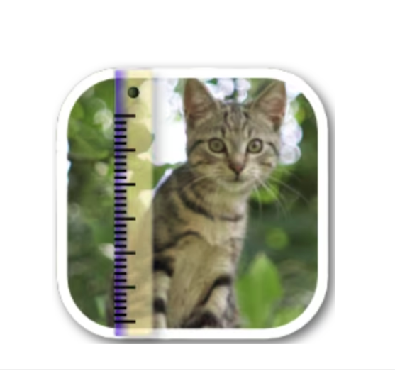 SizeMyPics v1.8.3 macOS 2025