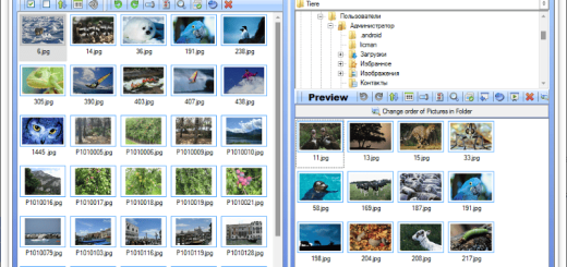 SortPix XL v26.0.0