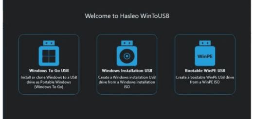 WinToUSB v10.2 Multilingual logo