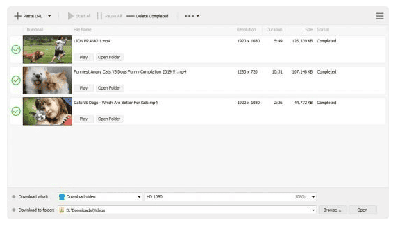 YT Geek YTDL v11.7.1