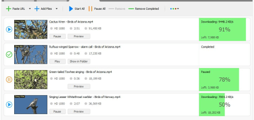 YT Video Downloader v11.29.2
