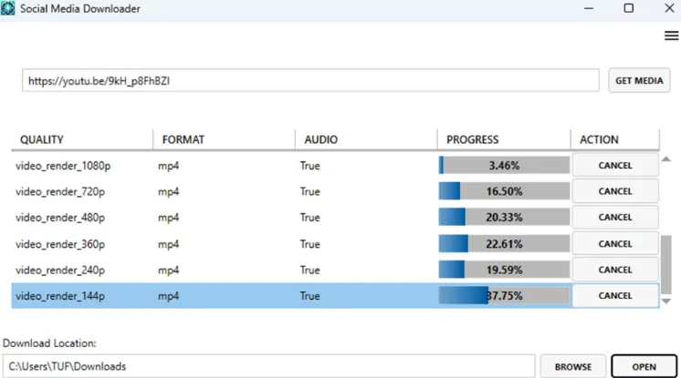 Social Media Downloader