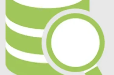 DbVisualizer Pro