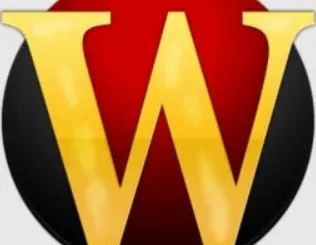Wipe Professional