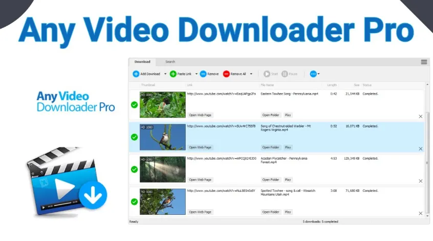 Any Video Downloader Pro