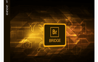 Adobe Bridge 2025 v15.1.3 (x64) Multilingual