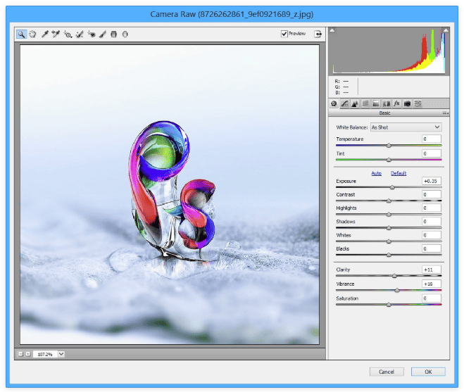 Adobe Camera Raw v18.1.1 (x64)