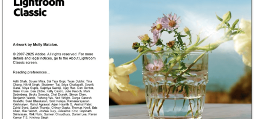 Adobe Lightroom Classic 2026 v15.2 (x64) Multilingual