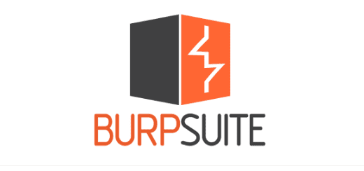 Burp Suite Professional v2025.11.4