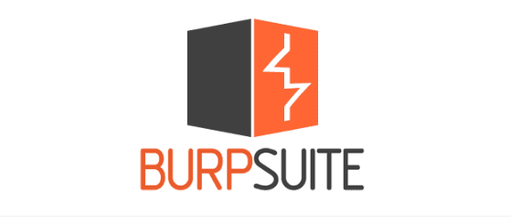 Burp Suite Professional v2025.11.4
