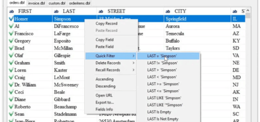 DBF Viewer 2000 v8.89.1 Multilingual