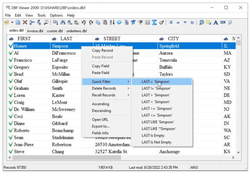 DBF Viewer 2000 v8.89.1 Multilingual