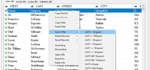 DBF Viewer 2000 v8.98