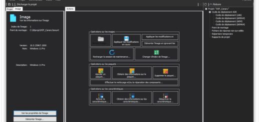 DISMTools v0.7.2.251208 Pre-release
