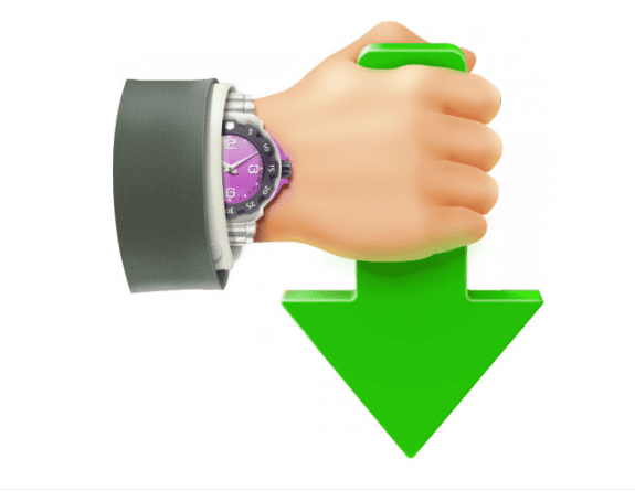 Internet Download Accelerator Pro v7.3.1.1745 Multilingual