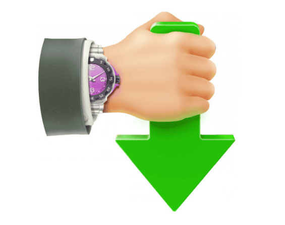 Internet Download Accelerator Pro v7.3.1.1745 Multilingual