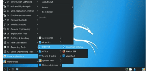 Kali Linux v2025.4 (x64)