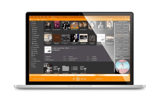 MediaMonkey Gold v2024.2.0.3183 RC4 Multilingual