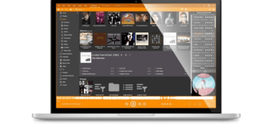 MediaMonkey Gold v2024.2.0.3184 Multilingual