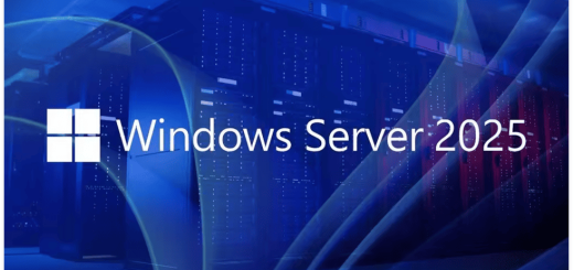 Microsoft Windows Server 2025 LTSC v24H2 Build v26100.7462 MSDN December 2025 (x64)