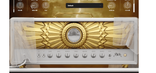 Neural DSP Archetype Rabea X v1.0.1