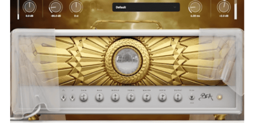 Neural DSP Archetype Rabea X v1.0.1