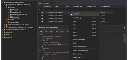 QueueExplorer Professional v5.0.64