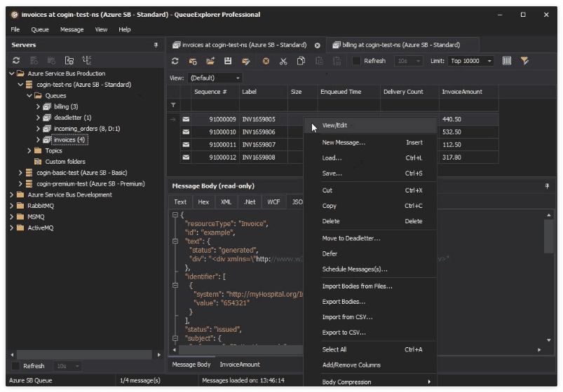QueueExplorer Professional v5.0.64